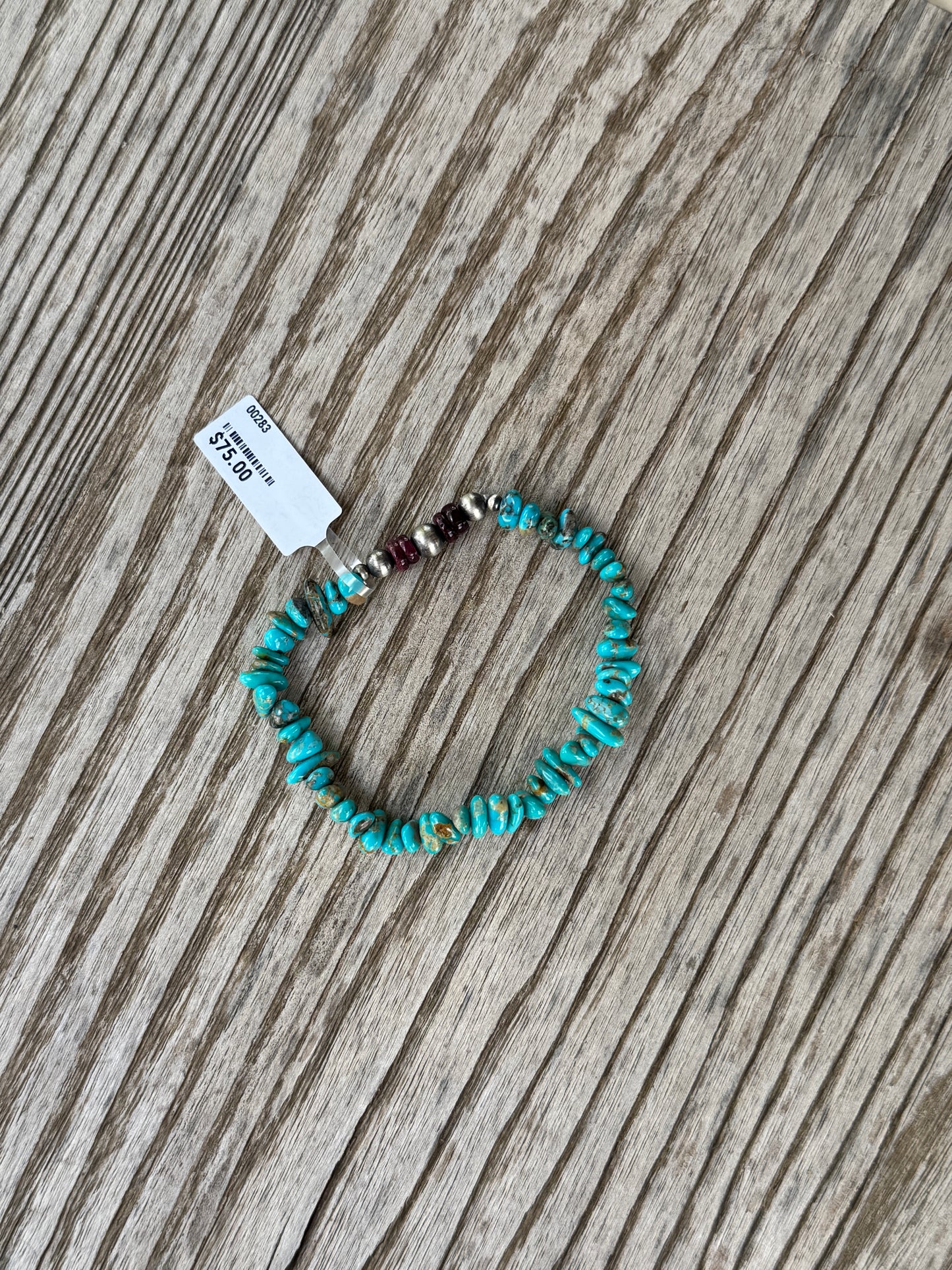 Sonoran & Purple Spiny stretch bracelet