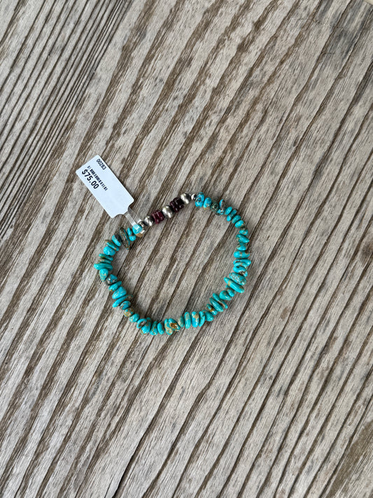 Sonoran & Purple Spiny stretch bracelet
